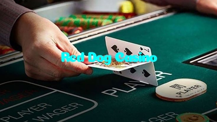 Red Dog Casino casino presented on mobile device in Pakistan with slots and live games